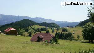 P21 [JUL-2012] Cheile Gradistei-Fundata: peisaje spectaculoase... 