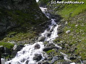 [P17] Paraiase din munti, pe Transfagarasan.  » foto by Tudor-Cristian
 - 
<span class="allrVoted glyphicon glyphicon-heart hidden" id="av562943"></span>
<a class="m-l-10 hidden" id="sv562943" onclick="voting_Foto_DelVot(,562943,5504)" role="button">șterge vot <span class="glyphicon glyphicon-remove"></span></a>
<a id="v9562943" class=" c-red"  onclick="voting_Foto_SetVot(562943)" role="button"><span class="glyphicon glyphicon-heart-empty"></span> <b>LIKE</b> = Votează poza</a> <img class="hidden"  id="f562943W9" src="/imagini/loader.gif" border="0" /><span class="AjErrMes hidden" id="e562943ErM"></span>