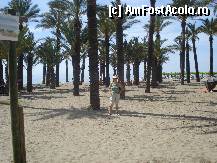 P06 [MAY-2012] Torremolinos, plaja care are din loc in loc palmieri.