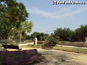 [P06] Grădină în PLaza del Temple, în imediata apropiere a Jardin del Turia.  » foto by Carmen Ion
 - 
<span class="allrVoted glyphicon glyphicon-heart hidden" id="av649982"></span>
<a class="m-l-10 hidden" id="sv649982" onclick="voting_Foto_DelVot(,649982,5604)" role="button">șterge vot <span class="glyphicon glyphicon-remove"></span></a>
<a id="v9649982" class=" c-red"  onclick="voting_Foto_SetVot(649982)" role="button"><span class="glyphicon glyphicon-heart-empty"></span> <b>LIKE</b> = Votează poza</a> <img class="hidden"  id="f649982W9" src="/imagini/loader.gif" border="0" /><span class="AjErrMes hidden" id="e649982ErM"></span>