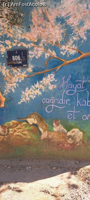 [P74] Case modeste, pictate, din cartierul Patlıcanlı Yokușu » foto by irinad
 - 
<span class="allrVoted glyphicon glyphicon-heart hidden" id="av1482749"></span>
<a class="m-l-10 hidden" id="sv1482749" onclick="voting_Foto_DelVot(,1482749,5718)" role="button">șterge vot <span class="glyphicon glyphicon-remove"></span></a>
<a id="v91482749" class=" c-red"  onclick="voting_Foto_SetVot(1482749)" role="button"><span class="glyphicon glyphicon-heart-empty"></span> <b>LIKE</b> = Votează poza</a> <img class="hidden"  id="f1482749W9" src="/imagini/loader.gif" border="0" /><span class="AjErrMes hidden" id="e1482749ErM"></span>