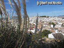 [P63] antequera vazuta de la fortareata alcazaba » foto by a.sr*
 - 
<span class="allrVoted glyphicon glyphicon-heart hidden" id="av278278"></span>
<a class="m-l-10 hidden" id="sv278278" onclick="voting_Foto_DelVot(,278278,5753)" role="button">șterge vot <span class="glyphicon glyphicon-remove"></span></a>
<a id="v9278278" class=" c-red"  onclick="voting_Foto_SetVot(278278)" role="button"><span class="glyphicon glyphicon-heart-empty"></span> <b>LIKE</b> = Votează poza</a> <img class="hidden"  id="f278278W9" src="/imagini/loader.gif" border="0" /><span class="AjErrMes hidden" id="e278278ErM"></span>