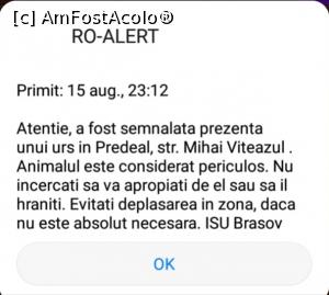 [P02] Ale tinereții valuri... » foto by Mioritik
 - 
<span class="allrVoted glyphicon glyphicon-heart hidden" id="av1246420"></span>
<a class="m-l-10 hidden" id="sv1246420" onclick="voting_Foto_DelVot(,1246420,5760)" role="button">șterge vot <span class="glyphicon glyphicon-remove"></span></a>
<a id="v91246420" class=" c-red"  onclick="voting_Foto_SetVot(1246420)" role="button"><span class="glyphicon glyphicon-heart-empty"></span> <b>LIKE</b> = Votează poza</a> <img class="hidden"  id="f1246420W9" src="/imagini/loader.gif" border="0" /><span class="AjErrMes hidden" id="e1246420ErM"></span>