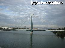 [P03] Donaustadtbrucke din Viena(1995), unul dintre cele mai noi poduri peste Dunăre.Are 75 m înălțime și servește traficului rutier(2 benzi), iar din 2006 este deschis și liniei de metrou.Nu permite trafic pietonal. » foto by mariana.olaru
 - 
<span class="allrVoted glyphicon glyphicon-heart hidden" id="av176195"></span>
<a class="m-l-10 hidden" id="sv176195" onclick="voting_Foto_DelVot(,176195,5760)" role="button">șterge vot <span class="glyphicon glyphicon-remove"></span></a>
<a id="v9176195" class=" c-red"  onclick="voting_Foto_SetVot(176195)" role="button"><span class="glyphicon glyphicon-heart-empty"></span> <b>LIKE</b> = Votează poza</a> <img class="hidden"  id="f176195W9" src="/imagini/loader.gif" border="0" /><span class="AjErrMes hidden" id="e176195ErM"></span>