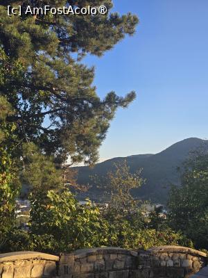 [P02] Privelistea superba de la terasa » foto by silvia tudoran
 - 
<span class="allrVoted glyphicon glyphicon-heart hidden" id="av1543304"></span>
<a class="m-l-10 hidden" id="sv1543304" onclick="voting_Foto_DelVot(,1543304,5761)" role="button">șterge vot <span class="glyphicon glyphicon-remove"></span></a>
<a id="v91543304" class=" c-red"  onclick="voting_Foto_SetVot(1543304)" role="button"><span class="glyphicon glyphicon-heart-empty"></span> <b>LIKE</b> = Votează poza</a> <img class="hidden"  id="f1543304W9" src="/imagini/loader.gif" border="0" /><span class="AjErrMes hidden" id="e1543304ErM"></span>