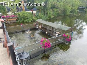 [P63] Lacul Ohrid, Mănăstirea Sf. Naum, zona de restaurante » foto by mprofeanu
 - 
<span class="allrVoted glyphicon glyphicon-heart hidden" id="av1541613"></span>
<a class="m-l-10 hidden" id="sv1541613" onclick="voting_Foto_DelVot(,1541613,5763)" role="button">șterge vot <span class="glyphicon glyphicon-remove"></span></a>
<a id="v91541613" class=" c-red"  onclick="voting_Foto_SetVot(1541613)" role="button"><span class="glyphicon glyphicon-heart-empty"></span> <b>LIKE</b> = Votează poza</a> <img class="hidden"  id="f1541613W9" src="/imagini/loader.gif" border="0" /><span class="AjErrMes hidden" id="e1541613ErM"></span>