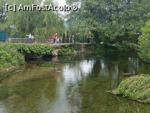 [P64] Lacul Ohrid, Mănăstirea Sf. Naum, Laguna » foto by mprofeanu
 - 
<span class="allrVoted glyphicon glyphicon-heart hidden" id="av1541614"></span>
<a class="m-l-10 hidden" id="sv1541614" onclick="voting_Foto_DelVot(,1541614,5763)" role="button">șterge vot <span class="glyphicon glyphicon-remove"></span></a>
<a id="v91541614" class=" c-red"  onclick="voting_Foto_SetVot(1541614)" role="button"><span class="glyphicon glyphicon-heart-empty"></span> <b>LIKE</b> = Votează poza</a> <img class="hidden"  id="f1541614W9" src="/imagini/loader.gif" border="0" /><span class="AjErrMes hidden" id="e1541614ErM"></span>