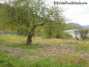P02 [MAY-2015] Lacul Ohrid- Primavara de vis! In parcul din Golful Oaselor. 