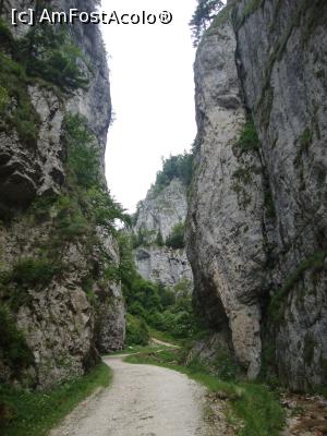 [P09] Drumul şerpuieşte pe fundul văii; are un aliat de nădejde, firicelul de apă ascuns pe margine.  » foto by Floryn81
 - 
<span class="allrVoted glyphicon glyphicon-heart hidden" id="av878757"></span>
<a class="m-l-10 hidden" id="sv878757" onclick="voting_Foto_DelVot(,878757,5764)" role="button">șterge vot <span class="glyphicon glyphicon-remove"></span></a>
<a id="v9878757" class=" c-red"  onclick="voting_Foto_SetVot(878757)" role="button"><span class="glyphicon glyphicon-heart-empty"></span> <b>LIKE</b> = Votează poza</a> <img class="hidden"  id="f878757W9" src="/imagini/loader.gif" border="0" /><span class="AjErrMes hidden" id="e878757ErM"></span>