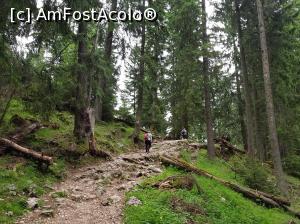 [P41] După un mic urcuș, am ieșit din nou în Poiana Zănoaga (de data aceasta la coborâre).  » foto by Floryn81
 - 
<span class="allrVoted glyphicon glyphicon-heart hidden" id="av1078734"></span>
<a class="m-l-10 hidden" id="sv1078734" onclick="voting_Foto_DelVot(,1078734,5764)" role="button">șterge vot <span class="glyphicon glyphicon-remove"></span></a>
<a id="v91078734" class=" c-red"  onclick="voting_Foto_SetVot(1078734)" role="button"><span class="glyphicon glyphicon-heart-empty"></span> <b>LIKE</b> = Votează poza</a> <img class="hidden"  id="f1078734W9" src="/imagini/loader.gif" border="0" /><span class="AjErrMes hidden" id="e1078734ErM"></span>