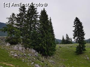 [P46] La coborâre, prin Poiana Zănoaga.  » foto by Floryn81
 - 
<span class="allrVoted glyphicon glyphicon-heart hidden" id="av1078739"></span>
<a class="m-l-10 hidden" id="sv1078739" onclick="voting_Foto_DelVot(,1078739,5764)" role="button">șterge vot <span class="glyphicon glyphicon-remove"></span></a>
<a id="v91078739" class=" c-red"  onclick="voting_Foto_SetVot(1078739)" role="button"><span class="glyphicon glyphicon-heart-empty"></span> <b>LIKE</b> = Votează poza</a> <img class="hidden"  id="f1078739W9" src="/imagini/loader.gif" border="0" /><span class="AjErrMes hidden" id="e1078739ErM"></span>