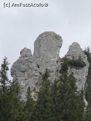 [P17] Un pinten cu 3 degete » foto by Dan&Ema
 - 
<span class="allrVoted glyphicon glyphicon-heart hidden" id="av1024722"></span>
<a class="m-l-10 hidden" id="sv1024722" onclick="voting_Foto_DelVot(,1024722,5764)" role="button">șterge vot <span class="glyphicon glyphicon-remove"></span></a>
<a id="v91024722" class=" c-red"  onclick="voting_Foto_SetVot(1024722)" role="button"><span class="glyphicon glyphicon-heart-empty"></span> <b>LIKE</b> = Votează poza</a> <img class="hidden"  id="f1024722W9" src="/imagini/loader.gif" border="0" /><span class="AjErrMes hidden" id="e1024722ErM"></span>