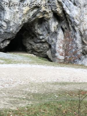 [P34] o mica pestera adapost in Prapastiile Zarnestilor » foto by Dan&Ema
 - 
<span class="allrVoted glyphicon glyphicon-heart hidden" id="av1024739"></span>
<a class="m-l-10 hidden" id="sv1024739" onclick="voting_Foto_DelVot(,1024739,5764)" role="button">șterge vot <span class="glyphicon glyphicon-remove"></span></a>
<a id="v91024739" class=" c-red"  onclick="voting_Foto_SetVot(1024739)" role="button"><span class="glyphicon glyphicon-heart-empty"></span> <b>LIKE</b> = Votează poza</a> <img class="hidden"  id="f1024739W9" src="/imagini/loader.gif" border="0" /><span class="AjErrMes hidden" id="e1024739ErM"></span>