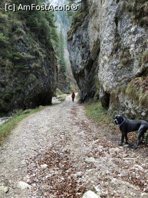 [P35] drumul forestier strabate Prapastiile zarnestilor care sunt din ce in ce mai spectaculoase » foto by Dan&Ema
 - 
<span class="allrVoted glyphicon glyphicon-heart hidden" id="av1024740"></span>
<a class="m-l-10 hidden" id="sv1024740" onclick="voting_Foto_DelVot(,1024740,5764)" role="button">șterge vot <span class="glyphicon glyphicon-remove"></span></a>
<a id="v91024740" class=" c-red"  onclick="voting_Foto_SetVot(1024740)" role="button"><span class="glyphicon glyphicon-heart-empty"></span> <b>LIKE</b> = Votează poza</a> <img class="hidden"  id="f1024740W9" src="/imagini/loader.gif" border="0" /><span class="AjErrMes hidden" id="e1024740ErM"></span>