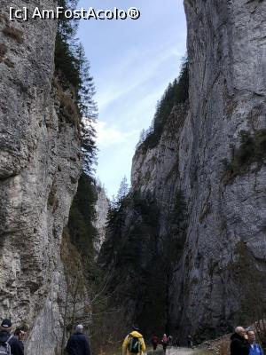 [P38] Prapastiile Zarnestilor sunt... prapastioase » foto by Dan&Ema
 - 
<span class="allrVoted glyphicon glyphicon-heart hidden" id="av1024743"></span>
<a class="m-l-10 hidden" id="sv1024743" onclick="voting_Foto_DelVot(,1024743,5764)" role="button">șterge vot <span class="glyphicon glyphicon-remove"></span></a>
<a id="v91024743" class=" c-red"  onclick="voting_Foto_SetVot(1024743)" role="button"><span class="glyphicon glyphicon-heart-empty"></span> <b>LIKE</b> = Votează poza</a> <img class="hidden"  id="f1024743W9" src="/imagini/loader.gif" border="0" /><span class="AjErrMes hidden" id="e1024743ErM"></span>