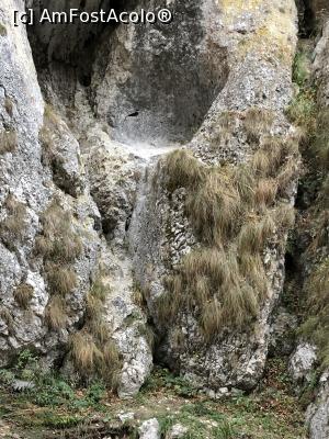 [P39] Tron sapat in calcarul prapastiilor » foto by Dan&Ema
 - 
<span class="allrVoted glyphicon glyphicon-heart hidden" id="av1024744"></span>
<a class="m-l-10 hidden" id="sv1024744" onclick="voting_Foto_DelVot(,1024744,5764)" role="button">șterge vot <span class="glyphicon glyphicon-remove"></span></a>
<a id="v91024744" class=" c-red"  onclick="voting_Foto_SetVot(1024744)" role="button"><span class="glyphicon glyphicon-heart-empty"></span> <b>LIKE</b> = Votează poza</a> <img class="hidden"  id="f1024744W9" src="/imagini/loader.gif" border="0" /><span class="AjErrMes hidden" id="e1024744ErM"></span>