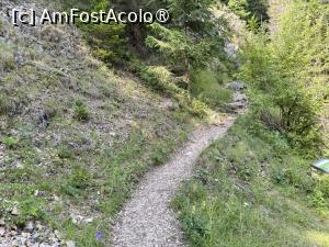 [P35] Coboram » foto by Mika
 - 
<span class="allrVoted glyphicon glyphicon-heart hidden" id="av1508302"></span>
<a class="m-l-10 hidden" id="sv1508302" onclick="voting_Foto_DelVot(,1508302,5764)" role="button">șterge vot <span class="glyphicon glyphicon-remove"></span></a>
<a id="v91508302" class=" c-red"  onclick="voting_Foto_SetVot(1508302)" role="button"><span class="glyphicon glyphicon-heart-empty"></span> <b>LIKE</b> = Votează poza</a> <img class="hidden"  id="f1508302W9" src="/imagini/loader.gif" border="0" /><span class="AjErrMes hidden" id="e1508302ErM"></span>