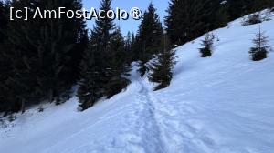 [P08] Spre Creasta Nordica » foto by Mika
 - 
<span class="allrVoted glyphicon glyphicon-heart hidden" id="av1522025"></span>
<a class="m-l-10 hidden" id="sv1522025" onclick="voting_Foto_DelVot(,1522025,5764)" role="button">șterge vot <span class="glyphicon glyphicon-remove"></span></a>
<a id="v91522025" class=" c-red"  onclick="voting_Foto_SetVot(1522025)" role="button"><span class="glyphicon glyphicon-heart-empty"></span> <b>LIKE</b> = Votează poza</a> <img class="hidden"  id="f1522025W9" src="/imagini/loader.gif" border="0" /><span class="AjErrMes hidden" id="e1522025ErM"></span>