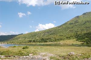[P14] Borsa-Lacul Stiol » foto by goposapiens
 - 
<span class="allrVoted glyphicon glyphicon-heart hidden" id="av650430"></span>
<a class="m-l-10 hidden" id="sv650430" onclick="voting_Foto_DelVot(,650430,5815)" role="button">șterge vot <span class="glyphicon glyphicon-remove"></span></a>
<a id="v9650430" class=" c-red"  onclick="voting_Foto_SetVot(650430)" role="button"><span class="glyphicon glyphicon-heart-empty"></span> <b>LIKE</b> = Votează poza</a> <img class="hidden"  id="f650430W9" src="/imagini/loader.gif" border="0" /><span class="AjErrMes hidden" id="e650430ErM"></span>