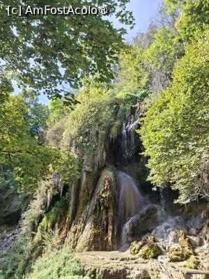 [P03] Cascada Clocota » foto by Carmen Ion
 - 
<span class="allrVoted glyphicon glyphicon-heart hidden" id="av1512468"></span>
<a class="m-l-10 hidden" id="sv1512468" onclick="voting_Foto_DelVot(,1512468,5840)" role="button">șterge vot <span class="glyphicon glyphicon-remove"></span></a>
<a id="v91512468" class=" c-red"  onclick="voting_Foto_SetVot(1512468)" role="button"><span class="glyphicon glyphicon-heart-empty"></span> <b>LIKE</b> = Votează poza</a> <img class="hidden"  id="f1512468W9" src="/imagini/loader.gif" border="0" /><span class="AjErrMes hidden" id="e1512468ErM"></span>