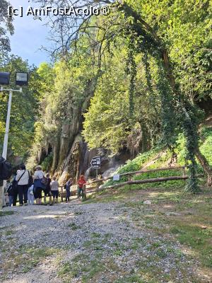 [P04] Ascultându-l pe ghidul Claudiu în fața cascadei Clocota » foto by Carmen Ion
 - 
<span class="allrVoted glyphicon glyphicon-heart hidden" id="av1512469"></span>
<a class="m-l-10 hidden" id="sv1512469" onclick="voting_Foto_DelVot(,1512469,5840)" role="button">șterge vot <span class="glyphicon glyphicon-remove"></span></a>
<a id="v91512469" class=" c-red"  onclick="voting_Foto_SetVot(1512469)" role="button"><span class="glyphicon glyphicon-heart-empty"></span> <b>LIKE</b> = Votează poza</a> <img class="hidden"  id="f1512469W9" src="/imagini/loader.gif" border="0" /><span class="AjErrMes hidden" id="e1512469ErM"></span>