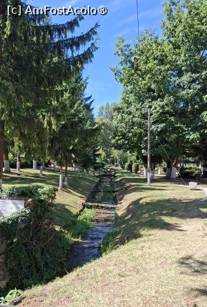 [P09] Parcul rezervație naturală din centrul stațiunii » foto by Carmen Ion
 - 
<span class="allrVoted glyphicon glyphicon-heart hidden" id="av1512474"></span>
<a class="m-l-10 hidden" id="sv1512474" onclick="voting_Foto_DelVot(,1512474,5840)" role="button">șterge vot <span class="glyphicon glyphicon-remove"></span></a>
<a id="v91512474" class=" c-red"  onclick="voting_Foto_SetVot(1512474)" role="button"><span class="glyphicon glyphicon-heart-empty"></span> <b>LIKE</b> = Votează poza</a> <img class="hidden"  id="f1512474W9" src="/imagini/loader.gif" border="0" /><span class="AjErrMes hidden" id="e1512474ErM"></span>