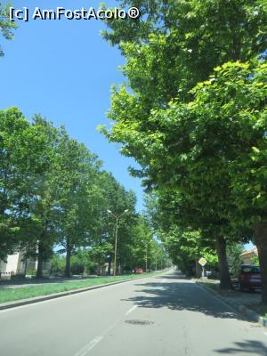 [P16] Depășim Dobrich-ul pe centură și traversăm localitatea Riltsi.  » foto by tata123 🔱
 - 
<span class="allrVoted glyphicon glyphicon-heart hidden" id="av869226"></span>
<a class="m-l-10 hidden" id="sv869226" onclick="voting_Foto_DelVot(,869226,5875)" role="button">șterge vot <span class="glyphicon glyphicon-remove"></span></a>
<a id="v9869226" class=" c-red"  onclick="voting_Foto_SetVot(869226)" role="button"><span class="glyphicon glyphicon-heart-empty"></span> <b>LIKE</b> = Votează poza</a> <img class="hidden"  id="f869226W9" src="/imagini/loader.gif" border="0" /><span class="AjErrMes hidden" id="e869226ErM"></span>