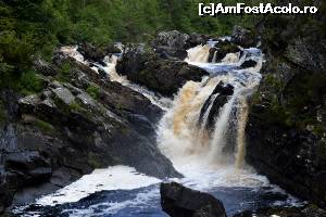 [P43] Roggie Falls - cascada » foto by makuy*
 - 
<span class="allrVoted glyphicon glyphicon-heart hidden" id="av654107"></span>
<a class="m-l-10 hidden" id="sv654107" onclick="voting_Foto_DelVot(,654107,5887)" role="button">șterge vot <span class="glyphicon glyphicon-remove"></span></a>
<a id="v9654107" class=" c-red"  onclick="voting_Foto_SetVot(654107)" role="button"><span class="glyphicon glyphicon-heart-empty"></span> <b>LIKE</b> = Votează poza</a> <img class="hidden"  id="f654107W9" src="/imagini/loader.gif" border="0" /><span class="AjErrMes hidden" id="e654107ErM"></span>