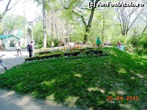 [P05] Ceasul din flori si Castelul de Apa in departare.  » foto by melena
 - 
<span class="allrVoted glyphicon glyphicon-heart hidden" id="av614099"></span>
<a class="m-l-10 hidden" id="sv614099" onclick="voting_Foto_DelVot(,614099,5899)" role="button">șterge vot <span class="glyphicon glyphicon-remove"></span></a>
<a id="v9614099" class=" c-red"  onclick="voting_Foto_SetVot(614099)" role="button"><span class="glyphicon glyphicon-heart-empty"></span> <b>LIKE</b> = Votează poza</a> <img class="hidden"  id="f614099W9" src="/imagini/loader.gif" border="0" /><span class="AjErrMes hidden" id="e614099ErM"></span>