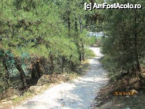 [P11]  -- <small>// FĂRĂ DESCRIERE</small> » foto by indiralisa_26
 - 
<span class="allrVoted glyphicon glyphicon-heart hidden" id="av438993"></span>
<a class="m-l-10 hidden" id="sv438993" onclick="voting_Foto_DelVot(,438993,6080)" role="button">șterge vot <span class="glyphicon glyphicon-remove"></span></a>
<a id="v9438993" class=" c-red"  onclick="voting_Foto_SetVot(438993)" role="button"><span class="glyphicon glyphicon-heart-empty"></span> <b>LIKE</b> = Votează poza</a> <img class="hidden"  id="f438993W9" src="/imagini/loader.gif" border="0" /><span class="AjErrMes hidden" id="e438993ErM"></span>