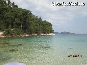 [P06]  -- <small>// FĂRĂ DESCRIERE</small> » foto by indiralisa_26
 - 
<span class="allrVoted glyphicon glyphicon-heart hidden" id="av438988"></span>
<a class="m-l-10 hidden" id="sv438988" onclick="voting_Foto_DelVot(,438988,6080)" role="button">șterge vot <span class="glyphicon glyphicon-remove"></span></a>
<a id="v9438988" class=" c-red"  onclick="voting_Foto_SetVot(438988)" role="button"><span class="glyphicon glyphicon-heart-empty"></span> <b>LIKE</b> = Votează poza</a> <img class="hidden"  id="f438988W9" src="/imagini/loader.gif" border="0" /><span class="AjErrMes hidden" id="e438988ErM"></span>