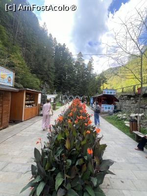 [P11] Slănic Moldova » foto by Yersinia Pestis
 - 
<span class="allrVoted glyphicon glyphicon-heart hidden" id="av1547781"></span>
<a class="m-l-10 hidden" id="sv1547781" onclick="voting_Foto_DelVot(,1547781,6086)" role="button">șterge vot <span class="glyphicon glyphicon-remove"></span></a>
<a id="v91547781" class=" c-red"  onclick="voting_Foto_SetVot(1547781)" role="button"><span class="glyphicon glyphicon-heart-empty"></span> <b>LIKE</b> = Votează poza</a> <img class="hidden"  id="f1547781W9" src="/imagini/loader.gif" border="0" /><span class="AjErrMes hidden" id="e1547781ErM"></span>