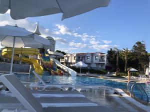 [P02] tobobane la piscina » foto by luiza2705 <span class="label label-default labelC_thin small">NEVOTABILĂ</span>
