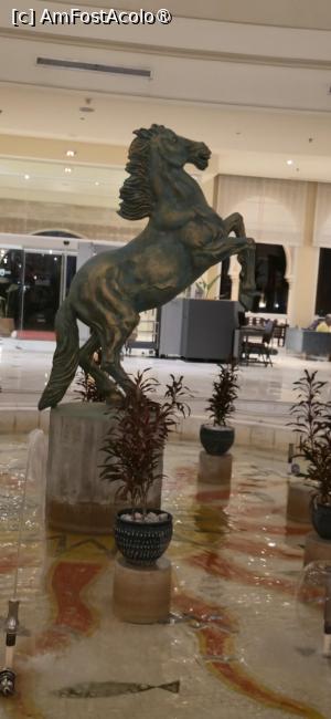 [P14] 14. Localnicii au o adevărată pasiune pentru cai. Îi primesc chiar și în lobby. » foto by msnd
 - 
<span class="allrVoted glyphicon glyphicon-heart hidden" id="av1546989"></span>
<a class="m-l-10 hidden" id="sv1546989" onclick="voting_Foto_DelVot(,1546989,6202)" role="button">șterge vot <span class="glyphicon glyphicon-remove"></span></a>
<a id="v91546989" class=" c-red"  onclick="voting_Foto_SetVot(1546989)" role="button"><span class="glyphicon glyphicon-heart-empty"></span> <b>LIKE</b> = Votează poza</a> <img class="hidden"  id="f1546989W9" src="/imagini/loader.gif" border="0" /><span class="AjErrMes hidden" id="e1546989ErM"></span>