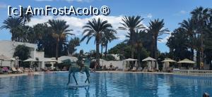 [P62] 62. „La pașa vine un arab” .... traversând piscina » foto by msnd
 - 
<span class="allrVoted glyphicon glyphicon-heart hidden" id="av1547037"></span>
<a class="m-l-10 hidden" id="sv1547037" onclick="voting_Foto_DelVot(,1547037,6202)" role="button">șterge vot <span class="glyphicon glyphicon-remove"></span></a>
<a id="v91547037" class=" c-red"  onclick="voting_Foto_SetVot(1547037)" role="button"><span class="glyphicon glyphicon-heart-empty"></span> <b>LIKE</b> = Votează poza</a> <img class="hidden"  id="f1547037W9" src="/imagini/loader.gif" border="0" /><span class="AjErrMes hidden" id="e1547037ErM"></span>