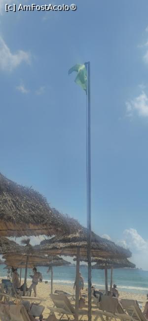 [P75] 75. Steagul verde ne permite să intrăm în mare. » foto by msnd
 - 
<span class="allrVoted glyphicon glyphicon-heart hidden" id="av1547050"></span>
<a class="m-l-10 hidden" id="sv1547050" onclick="voting_Foto_DelVot(,1547050,6202)" role="button">șterge vot <span class="glyphicon glyphicon-remove"></span></a>
<a id="v91547050" class=" c-red"  onclick="voting_Foto_SetVot(1547050)" role="button"><span class="glyphicon glyphicon-heart-empty"></span> <b>LIKE</b> = Votează poza</a> <img class="hidden"  id="f1547050W9" src="/imagini/loader.gif" border="0" /><span class="AjErrMes hidden" id="e1547050ErM"></span>