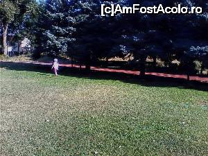 [P02] pista de atletism » foto by papalito
 - 
<span class="allrVoted glyphicon glyphicon-heart hidden" id="av651962"></span>
<a class="m-l-10 hidden" id="sv651962" onclick="voting_Foto_DelVot(,651962,6204)" role="button">șterge vot <span class="glyphicon glyphicon-remove"></span></a>
<a id="v9651962" class=" c-red"  onclick="voting_Foto_SetVot(651962)" role="button"><span class="glyphicon glyphicon-heart-empty"></span> <b>LIKE</b> = Votează poza</a> <img class="hidden"  id="f651962W9" src="/imagini/loader.gif" border="0" /><span class="AjErrMes hidden" id="e651962ErM"></span>