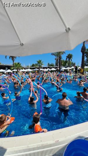 [P23] Distracție la piscină » foto by laura mihaela
 - 
<span class="allrVoted glyphicon glyphicon-heart hidden" id="av1495072"></span>
<a class="m-l-10 hidden" id="sv1495072" onclick="voting_Foto_DelVot(,1495072,6213)" role="button">șterge vot <span class="glyphicon glyphicon-remove"></span></a>
<a id="v91495072" class=" c-red"  onclick="voting_Foto_SetVot(1495072)" role="button"><span class="glyphicon glyphicon-heart-empty"></span> <b>LIKE</b> = Votează poza</a> <img class="hidden"  id="f1495072W9" src="/imagini/loader.gif" border="0" /><span class="AjErrMes hidden" id="e1495072ErM"></span>