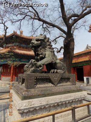 [P08] Beijing, Templul Lama, Leoaica (Împărăteasa) cu puiul » foto by mprofeanu
 - 
<span class="allrVoted glyphicon glyphicon-heart hidden" id="av831272"></span>
<a class="m-l-10 hidden" id="sv831272" onclick="voting_Foto_DelVot(,831272,6234)" role="button">șterge vot <span class="glyphicon glyphicon-remove"></span></a>
<a id="v9831272" class=" c-red"  onclick="voting_Foto_SetVot(831272)" role="button"><span class="glyphicon glyphicon-heart-empty"></span> <b>LIKE</b> = Votează poza</a> <img class="hidden"  id="f831272W9" src="/imagini/loader.gif" border="0" /><span class="AjErrMes hidden" id="e831272ErM"></span>