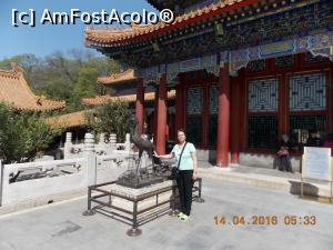 [P28] Beijing Palatul de Vară, Pasărea Pheonix din fața Sălii Norilor Risipiți » foto by mprofeanu
 - 
<span class="allrVoted glyphicon glyphicon-heart hidden" id="av835363"></span>
<a class="m-l-10 hidden" id="sv835363" onclick="voting_Foto_DelVot(,835363,6234)" role="button">șterge vot <span class="glyphicon glyphicon-remove"></span></a>
<a id="v9835363" class=" c-red"  onclick="voting_Foto_SetVot(835363)" role="button"><span class="glyphicon glyphicon-heart-empty"></span> <b>LIKE</b> = Votează poza</a> <img class="hidden"  id="f835363W9" src="/imagini/loader.gif" border="0" /><span class="AjErrMes hidden" id="e835363ErM"></span>