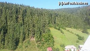 P01 [AUG-2015] Pădure de brazi în Borsec. 