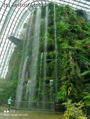 [P06] Gardens by the Bay - Cloud Forest » foto by Mephisto
 - 
<span class="allrVoted glyphicon glyphicon-heart hidden" id="av1334800"></span>
<a class="m-l-10 hidden" id="sv1334800" onclick="voting_Foto_DelVot(,1334800,6314)" role="button">șterge vot <span class="glyphicon glyphicon-remove"></span></a>
<a id="v91334800" class=" c-red"  onclick="voting_Foto_SetVot(1334800)" role="button"><span class="glyphicon glyphicon-heart-empty"></span> <b>LIKE</b> = Votează poza</a> <img class="hidden"  id="f1334800W9" src="/imagini/loader.gif" border="0" /><span class="AjErrMes hidden" id="e1334800ErM"></span>