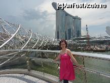 [P03] podul Helix Bridge,care face legatura intre centru si Marina Bay » foto by adri-nico
 - 
<span class="allrVoted glyphicon glyphicon-heart hidden" id="av300113"></span>
<a class="m-l-10 hidden" id="sv300113" onclick="voting_Foto_DelVot(,300113,6314)" role="button">șterge vot <span class="glyphicon glyphicon-remove"></span></a>
<a id="v9300113" class=" c-red"  onclick="voting_Foto_SetVot(300113)" role="button"><span class="glyphicon glyphicon-heart-empty"></span> <b>LIKE</b> = Votează poza</a> <img class="hidden"  id="f300113W9" src="/imagini/loader.gif" border="0" /><span class="AjErrMes hidden" id="e300113ErM"></span>