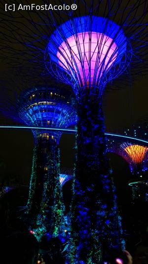 [P14] Gardens By the Bay joc de lumini_1a » foto by Miseropia
 - 
<span class="allrVoted glyphicon glyphicon-heart hidden" id="av1052654"></span>
<a class="m-l-10 hidden" id="sv1052654" onclick="voting_Foto_DelVot(,1052654,6314)" role="button">șterge vot <span class="glyphicon glyphicon-remove"></span></a>
<a id="v91052654" class=" c-red"  onclick="voting_Foto_SetVot(1052654)" role="button"><span class="glyphicon glyphicon-heart-empty"></span> <b>LIKE</b> = Votează poza</a> <img class="hidden"  id="f1052654W9" src="/imagini/loader.gif" border="0" /><span class="AjErrMes hidden" id="e1052654ErM"></span>