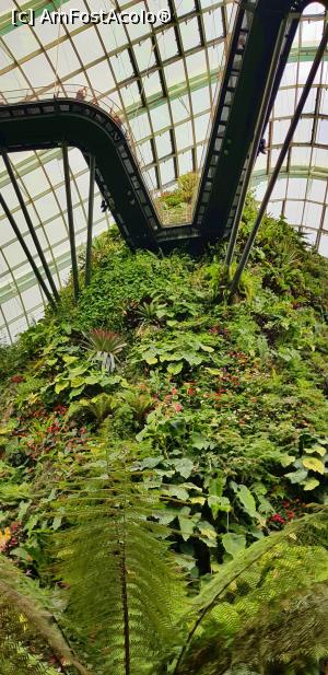 [P09] Cloud Forest, Garden by the Bay » foto by Miseropia
 - 
<span class="allrVoted glyphicon glyphicon-heart hidden" id="av1053886"></span>
<a class="m-l-10 hidden" id="sv1053886" onclick="voting_Foto_DelVot(,1053886,6314)" role="button">șterge vot <span class="glyphicon glyphicon-remove"></span></a>
<a id="v91053886" class=" c-red"  onclick="voting_Foto_SetVot(1053886)" role="button"><span class="glyphicon glyphicon-heart-empty"></span> <b>LIKE</b> = Votează poza</a> <img class="hidden"  id="f1053886W9" src="/imagini/loader.gif" border="0" /><span class="AjErrMes hidden" id="e1053886ErM"></span>