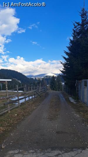 [P13]  -- <small>// FĂRĂ DESCRIERE</small> » foto by laura mihaela
 - 
<span class="allrVoted glyphicon glyphicon-heart hidden" id="av1523729"></span>
<a class="m-l-10 hidden" id="sv1523729" onclick="voting_Foto_DelVot(,1523729,6329)" role="button">șterge vot <span class="glyphicon glyphicon-remove"></span></a>
<a id="v91523729" class=" c-red"  onclick="voting_Foto_SetVot(1523729)" role="button"><span class="glyphicon glyphicon-heart-empty"></span> <b>LIKE</b> = Votează poza</a> <img class="hidden"  id="f1523729W9" src="/imagini/loader.gif" border="0" /><span class="AjErrMes hidden" id="e1523729ErM"></span>