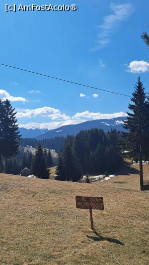 [P18]  -- <small>// FĂRĂ DESCRIERE</small> » foto by laura mihaela
 - 
<span class="allrVoted glyphicon glyphicon-heart hidden" id="av1523736"></span>
<a class="m-l-10 hidden" id="sv1523736" onclick="voting_Foto_DelVot(,1523736,6329)" role="button">șterge vot <span class="glyphicon glyphicon-remove"></span></a>
<a id="v91523736" class=" c-red"  onclick="voting_Foto_SetVot(1523736)" role="button"><span class="glyphicon glyphicon-heart-empty"></span> <b>LIKE</b> = Votează poza</a> <img class="hidden"  id="f1523736W9" src="/imagini/loader.gif" border="0" /><span class="AjErrMes hidden" id="e1523736ErM"></span>