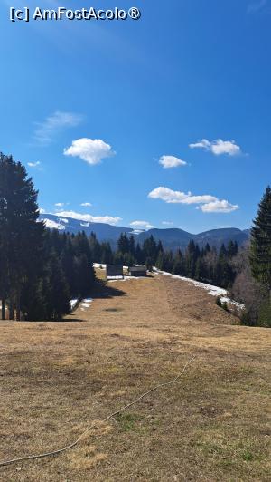 [P19]  -- <small>// FĂRĂ DESCRIERE</small> » foto by laura mihaela
 - 
<span class="allrVoted glyphicon glyphicon-heart hidden" id="av1523737"></span>
<a class="m-l-10 hidden" id="sv1523737" onclick="voting_Foto_DelVot(,1523737,6329)" role="button">șterge vot <span class="glyphicon glyphicon-remove"></span></a>
<a id="v91523737" class=" c-red"  onclick="voting_Foto_SetVot(1523737)" role="button"><span class="glyphicon glyphicon-heart-empty"></span> <b>LIKE</b> = Votează poza</a> <img class="hidden"  id="f1523737W9" src="/imagini/loader.gif" border="0" /><span class="AjErrMes hidden" id="e1523737ErM"></span>