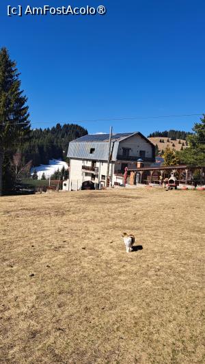 [P23]  -- <small>// FĂRĂ DESCRIERE</small> » foto by laura mihaela
 - 
<span class="allrVoted glyphicon glyphicon-heart hidden" id="av1523742"></span>
<a class="m-l-10 hidden" id="sv1523742" onclick="voting_Foto_DelVot(,1523742,6329)" role="button">șterge vot <span class="glyphicon glyphicon-remove"></span></a>
<a id="v91523742" class=" c-red"  onclick="voting_Foto_SetVot(1523742)" role="button"><span class="glyphicon glyphicon-heart-empty"></span> <b>LIKE</b> = Votează poza</a> <img class="hidden"  id="f1523742W9" src="/imagini/loader.gif" border="0" /><span class="AjErrMes hidden" id="e1523742ErM"></span>