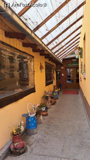 [P24]  -- <small>// FĂRĂ DESCRIERE</small> » foto by laura mihaela
 - 
<span class="allrVoted glyphicon glyphicon-heart hidden" id="av1523744"></span>
<a class="m-l-10 hidden" id="sv1523744" onclick="voting_Foto_DelVot(,1523744,6329)" role="button">șterge vot <span class="glyphicon glyphicon-remove"></span></a>
<a id="v91523744" class=" c-red"  onclick="voting_Foto_SetVot(1523744)" role="button"><span class="glyphicon glyphicon-heart-empty"></span> <b>LIKE</b> = Votează poza</a> <img class="hidden"  id="f1523744W9" src="/imagini/loader.gif" border="0" /><span class="AjErrMes hidden" id="e1523744ErM"></span>